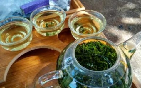 辣木茶的作用与功效与作用,辣木茶和桑叶一起喝功效作用