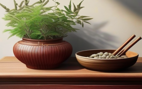 综述论文的题目特点？ 养生产品的优势和劣势？