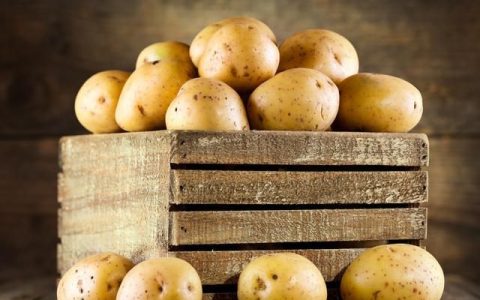 土豆淀粉可以做什么美食