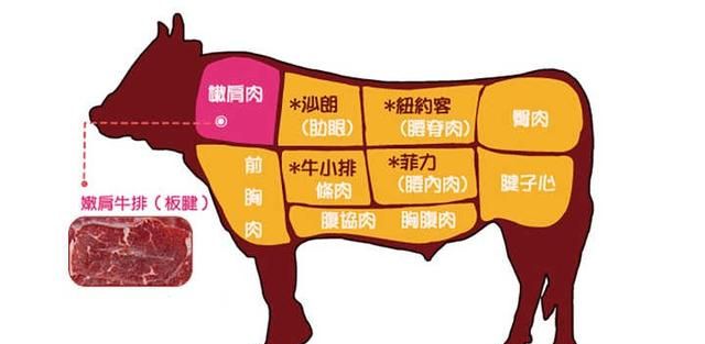 牛的哪个部位的肉最嫩最鲜最好吃图2