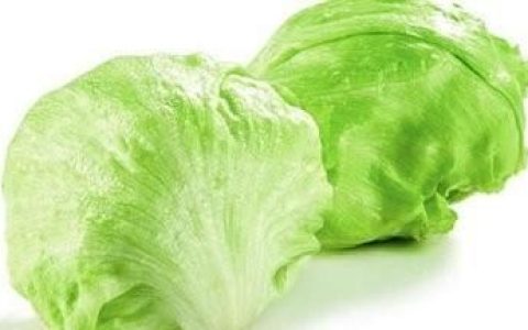 结球生菜如何种植,怎样种植结球生菜