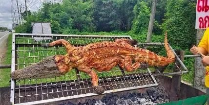 泰国人吃鳄鱼肉，你想试试吗？