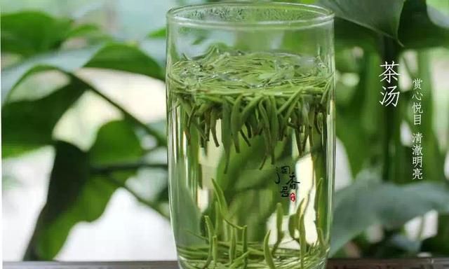 川茶“竹叶青”的功效与品饮