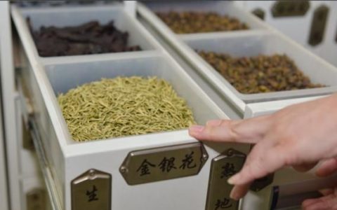 清热解暑补气活血养生的最佳搭档