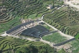 石蛙的养殖前景在哪里(石蛙养殖哪里可以学习)图5