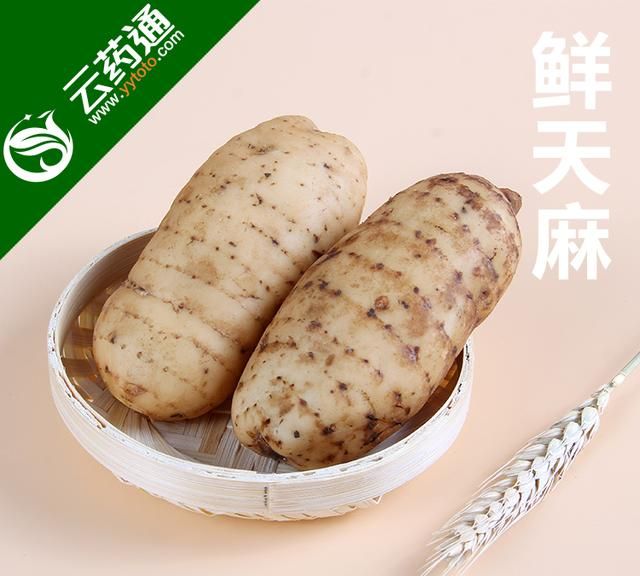 猪手天麻煲汤有什么功效图4