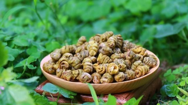 每日一味抗癌中药——石斛，润肺养胃、滋补肝肾，抗癌用途有三