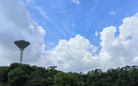 一听啤酒,一听啤酒大约多长时间能够消化