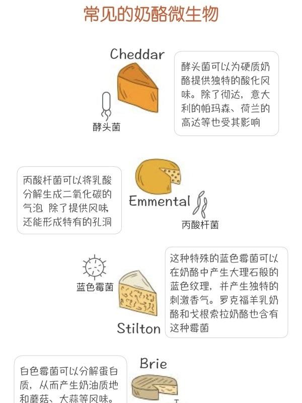 让披萨拉丝的奶酪是什么?如何做出来的图11