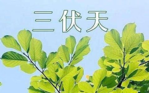 入伏吃什么对身体好，入伏吃点什么对身体好