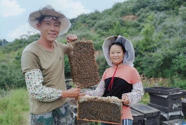 牛奶蜂蜜，牛奶与蜂蜜哪个更好图4