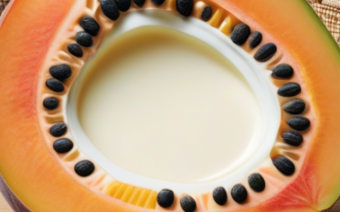 木瓜牛奶炖燕窝的做法？